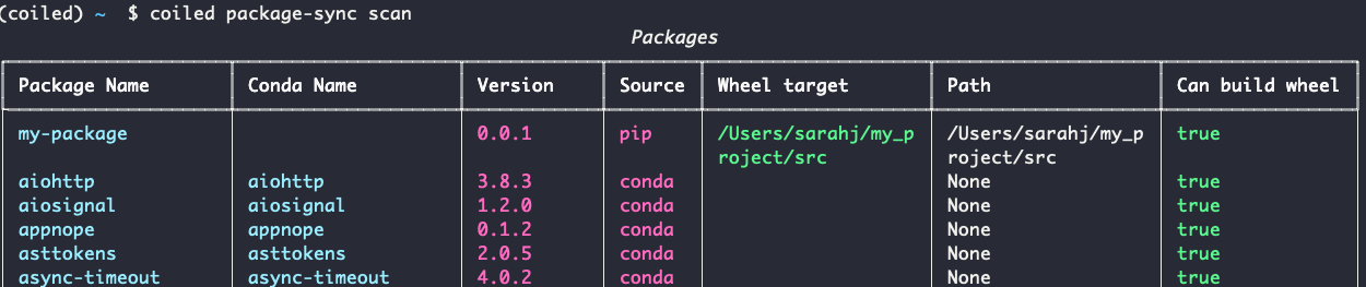 Table of packages with rows for each Python package and columns for conda name, version, source, wheel target, path, and whether the wheel can be built.